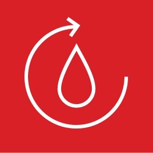 La accesibilidad del sitio y la optimización SEO son del 100%. Con base en las oportunidades de mejora para el rendimiento del sitio, proponemos realizar las siguientes optimizaciones: Actualizar el fondo de la imagen del Head para mejorar el contraste. Mejorar la visibilidad y eficacia de los CTAs usando botones destacados y consistentes visualmente: “Dónde comprar”, “Ver especificaciones”, “Contacto”, “Solicitar muestra / demo”, etc.). Agregar un botón al final de la página para facilitar el regreso a la parte superior (Back to top). El sitio web está usando una función o evento que el navegador ya marcó como “obsoleto”. Realizaremos una evaluación más profunda para encontrar esta función.